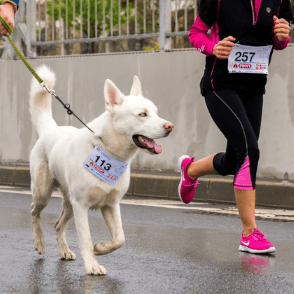 Woman and her dog running in a fundraiser marathon