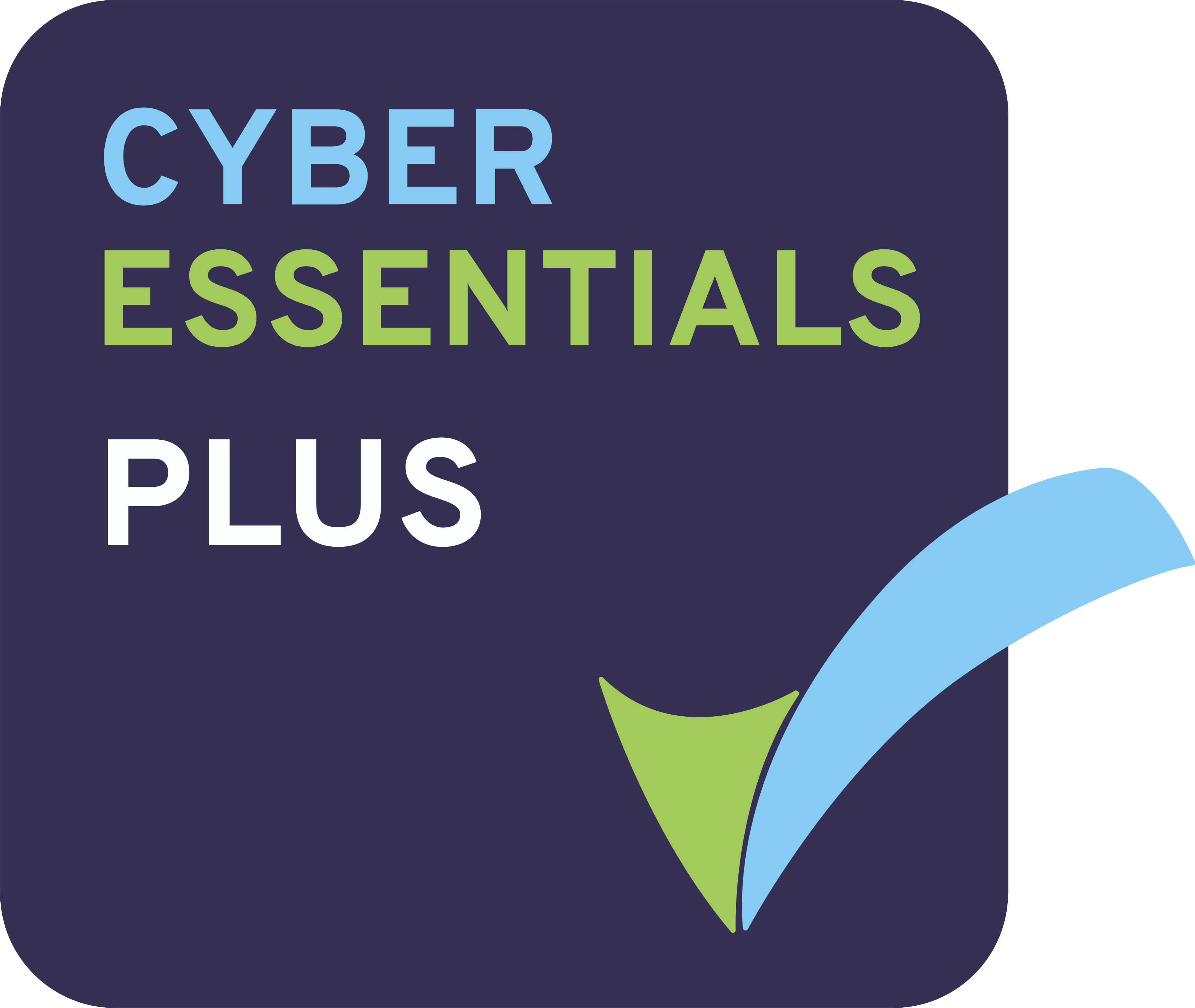 Cyber Essentials Approved